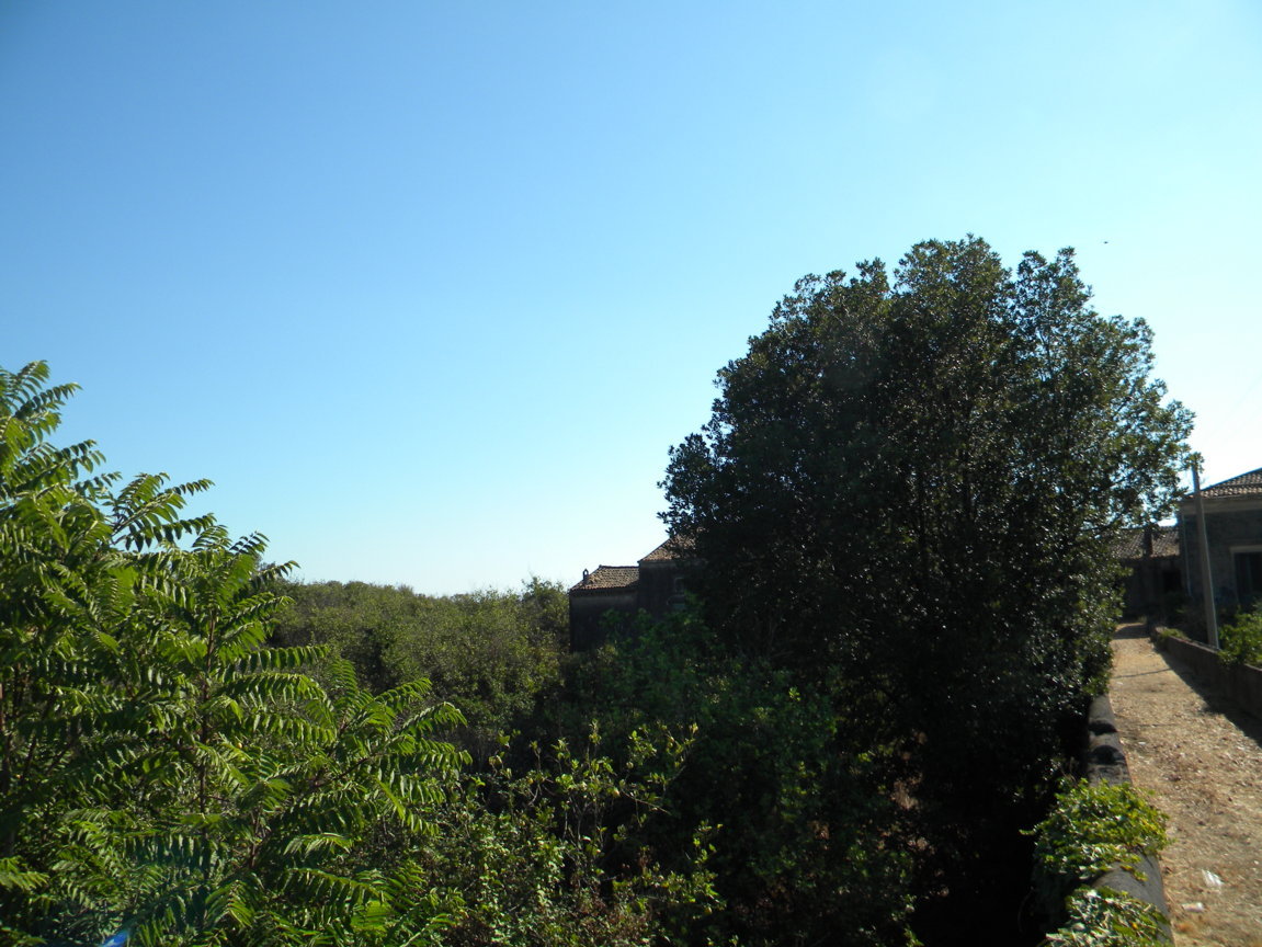 DSCN8183 .JPG